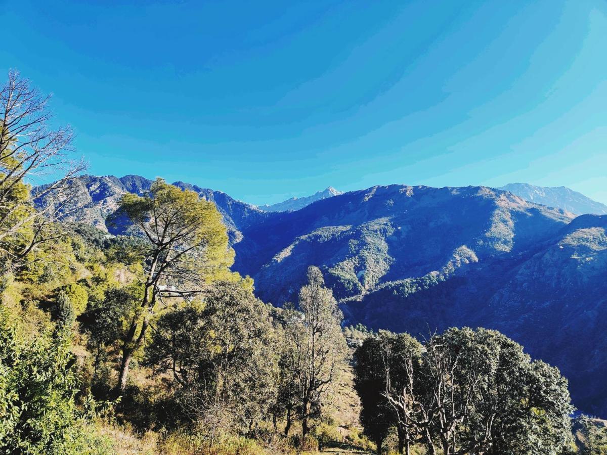 Independent Mud House Studio McLeod Ganj Zewnętrze zdjęcie